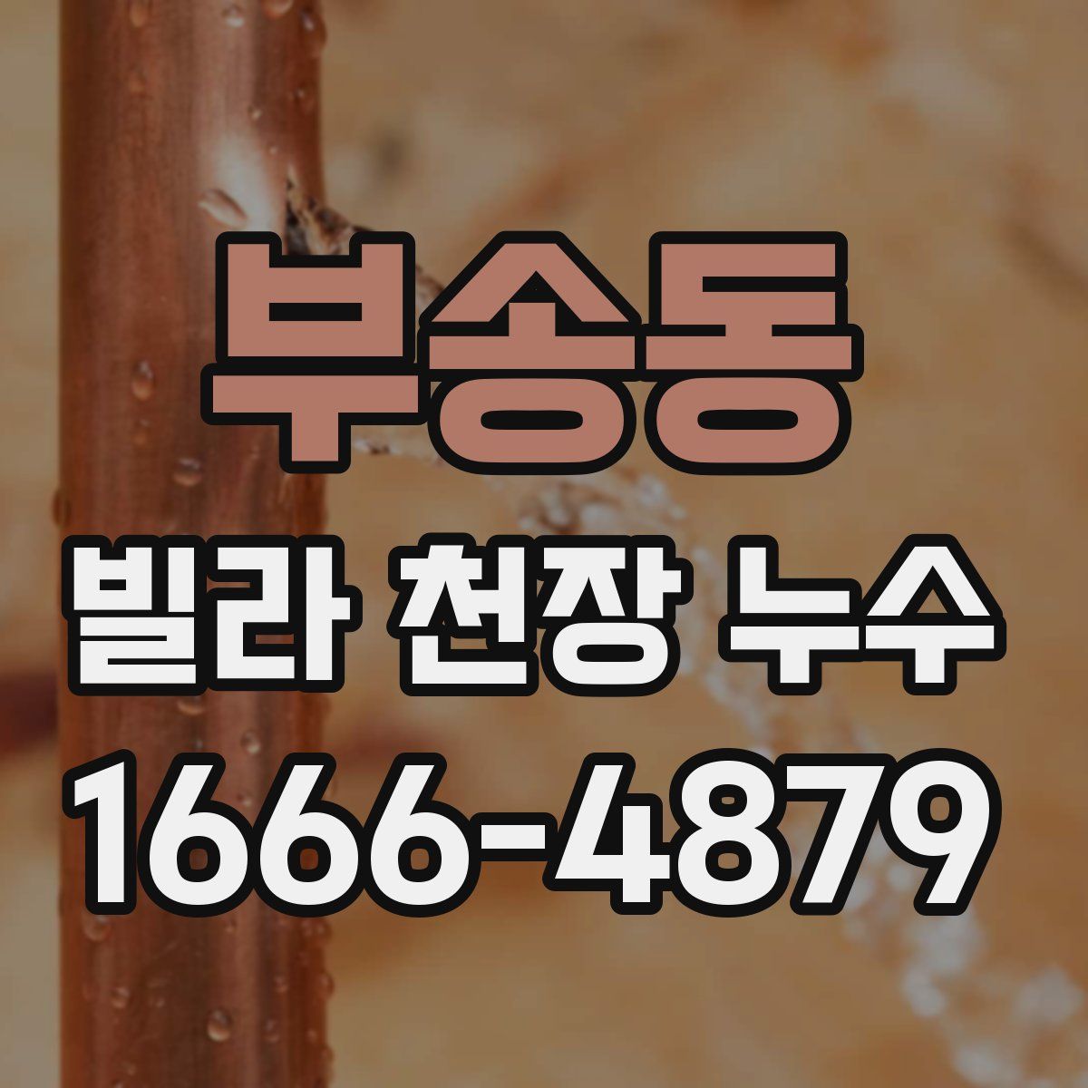 부송동 빌라 천장 누수
