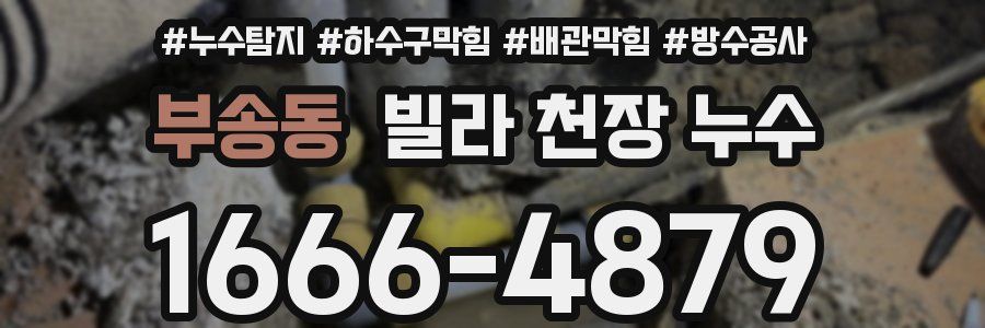 부송동 빌라 천장 누수