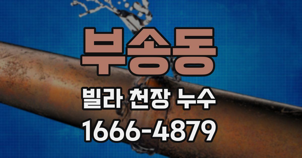 부송동 빌라 천장 누수