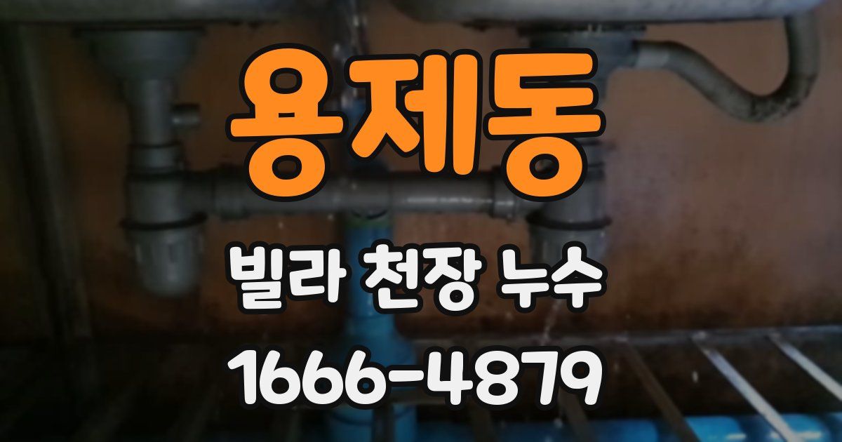 용제동 빌라 천장 누수