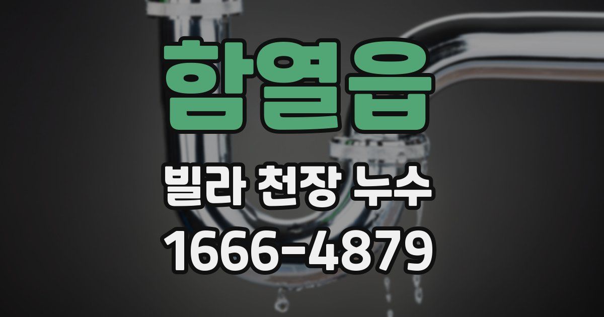 함열읍 빌라 천장 누수