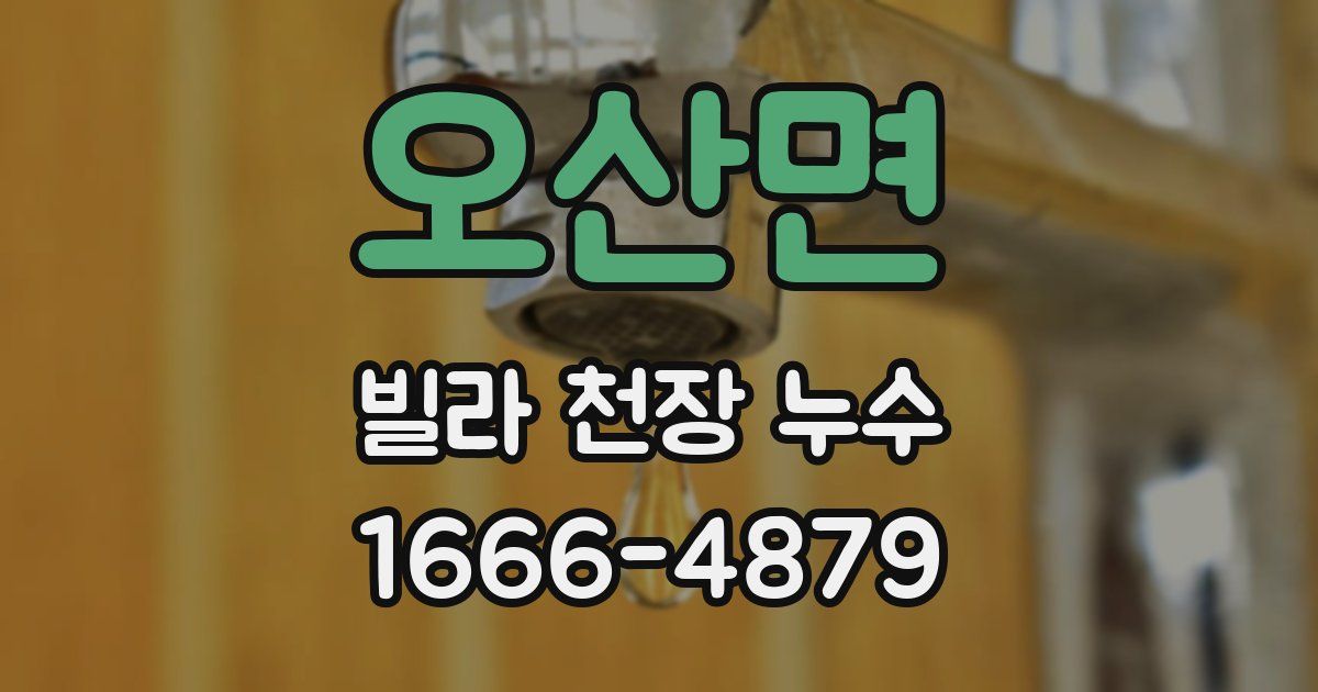 오산면 빌라 천장 누수
