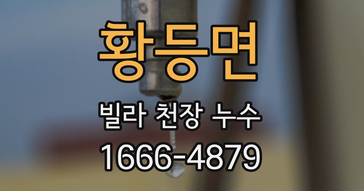 황등면 빌라 천장 누수