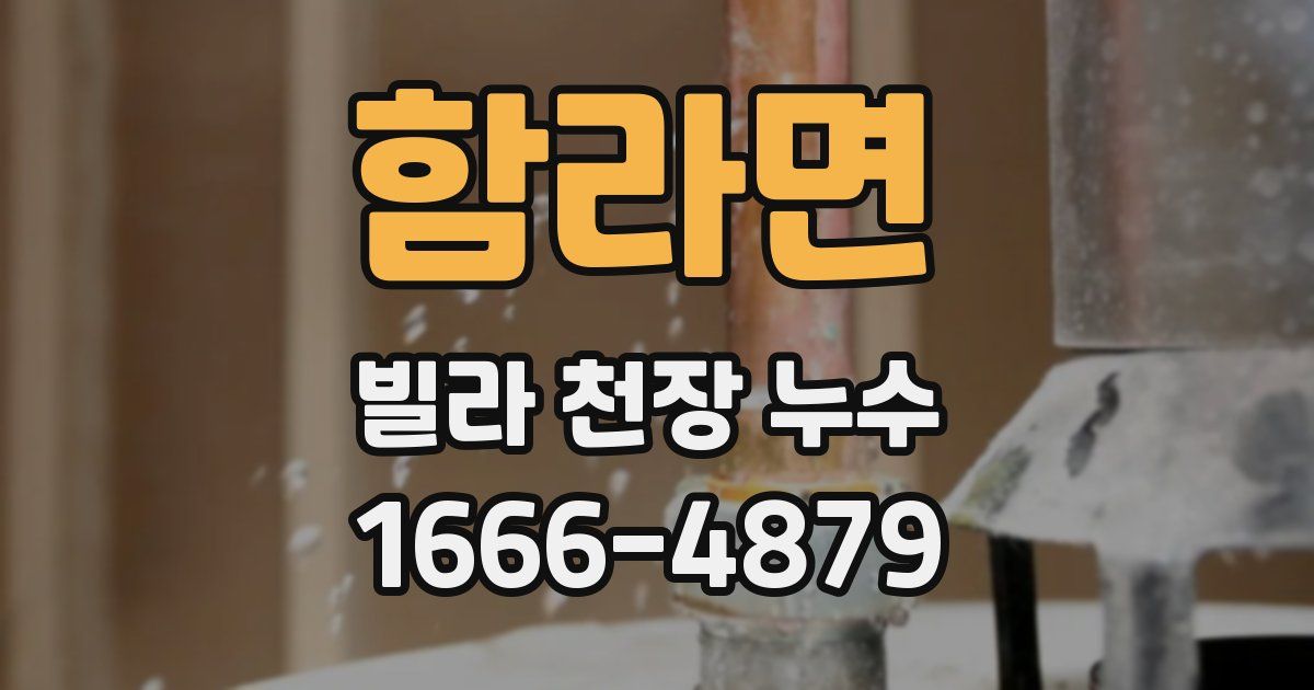 함라면 빌라 천장 누수