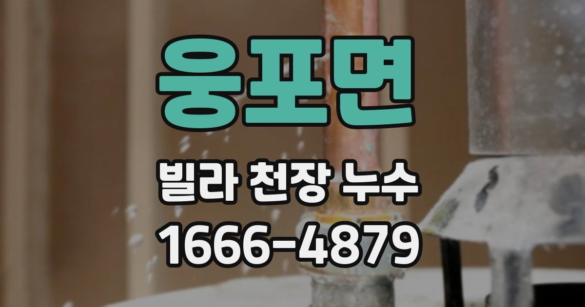 웅포면 빌라 천장 누수