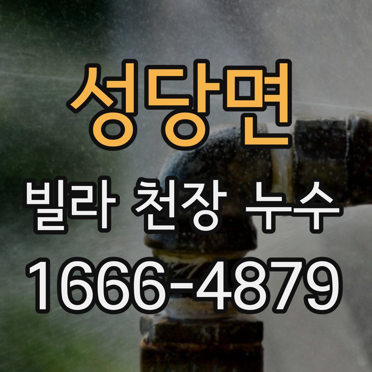 성당면 빌라 천장 누수