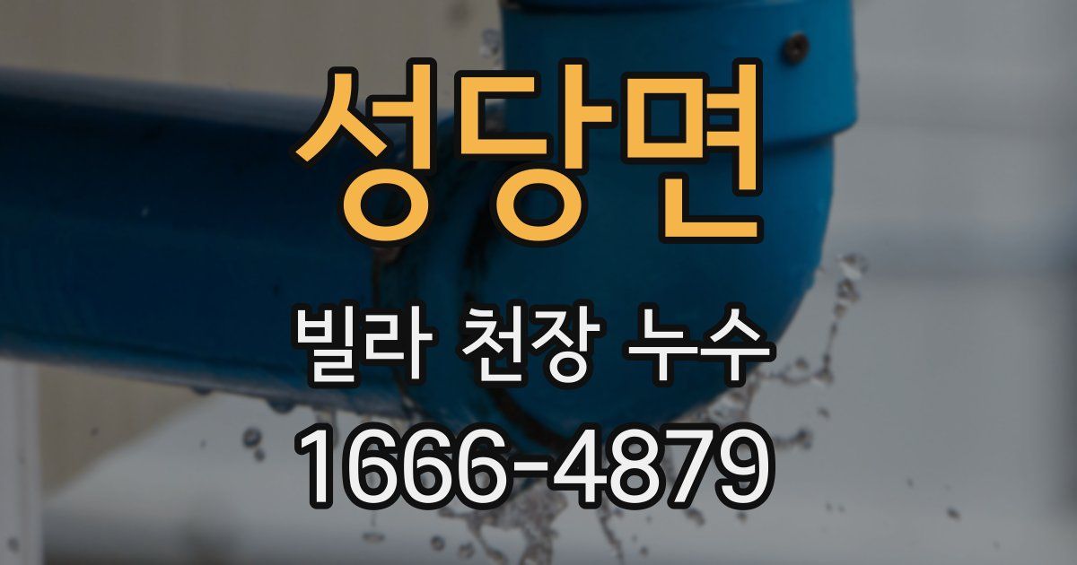 성당면 빌라 천장 누수