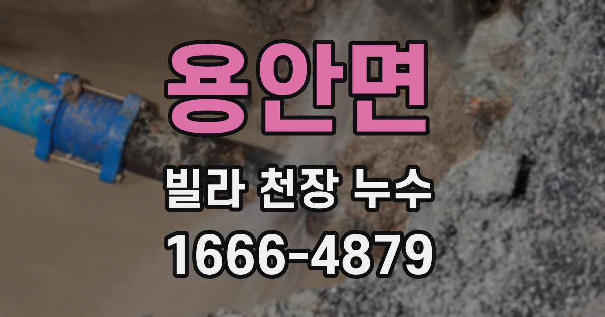 용안면 빌라 천장 누수