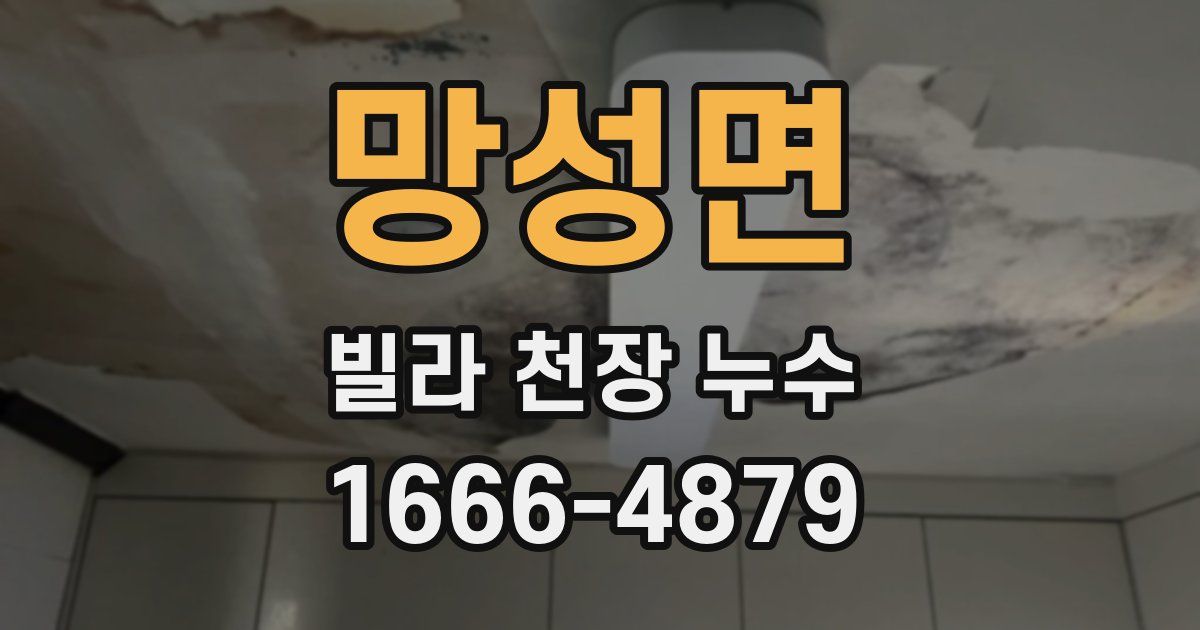 망성면 빌라 천장 누수