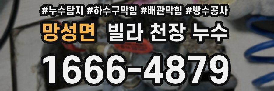 망성면 빌라 천장 누수