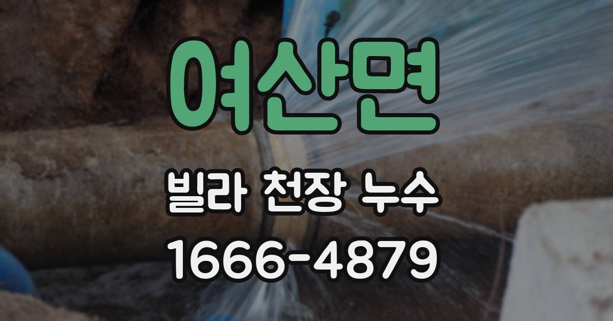 여산면 빌라 천장 누수