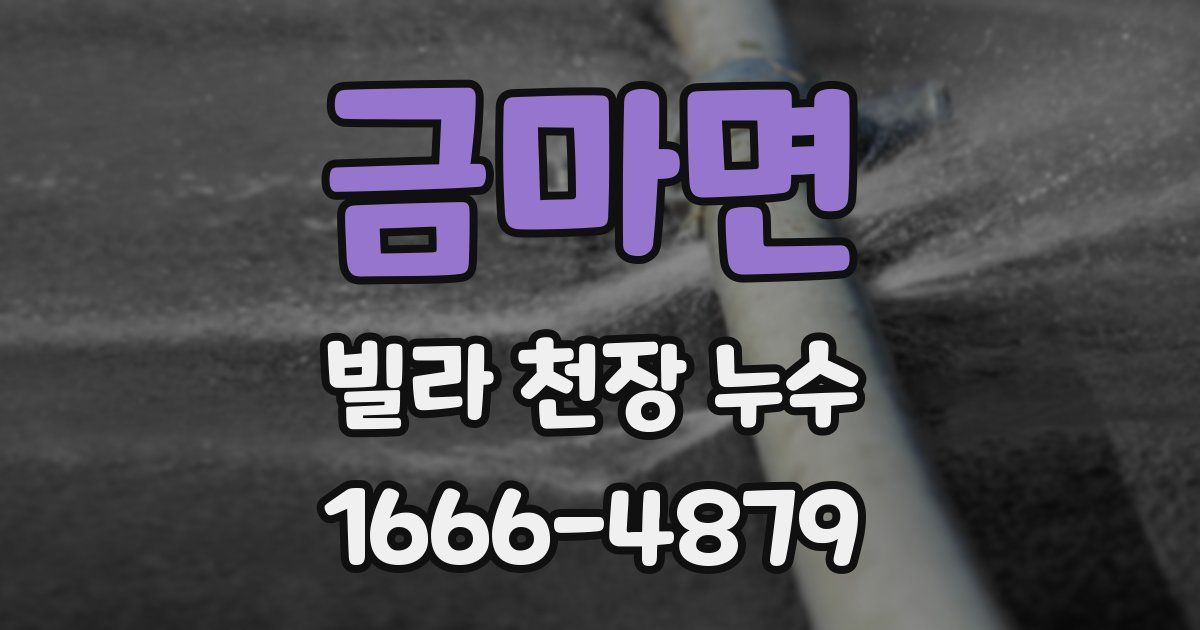 금마면 빌라 천장 누수