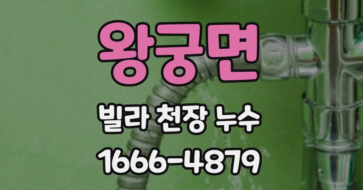 왕궁면 빌라 천장 누수