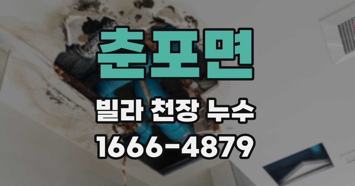 춘포면 빌라 천장 누수