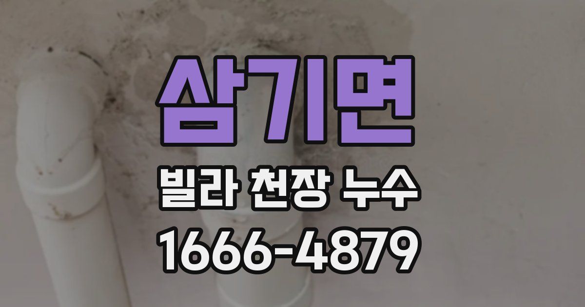 삼기면 빌라 천장 누수