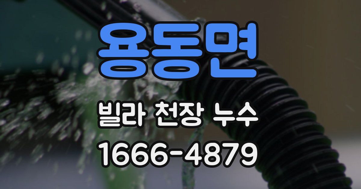 용동면 빌라 천장 누수