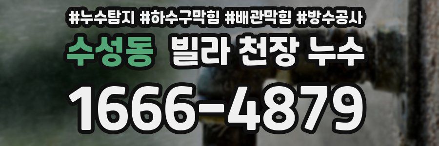 수성동 빌라 천장 누수