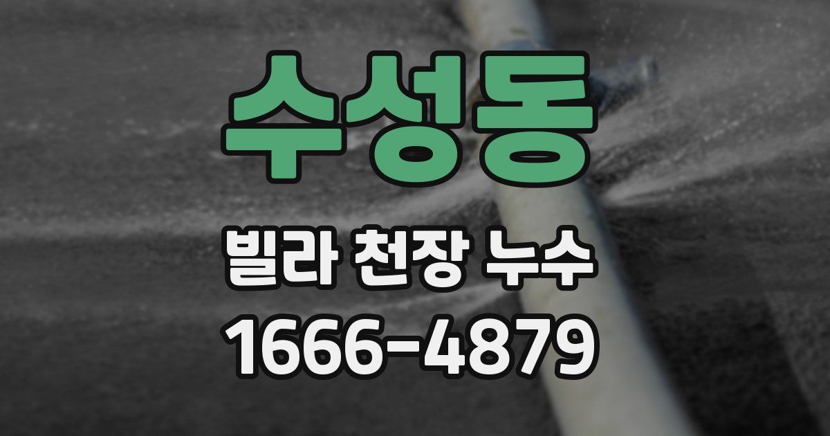 수성동 빌라 천장 누수