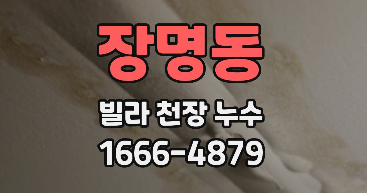 장명동 빌라 천장 누수