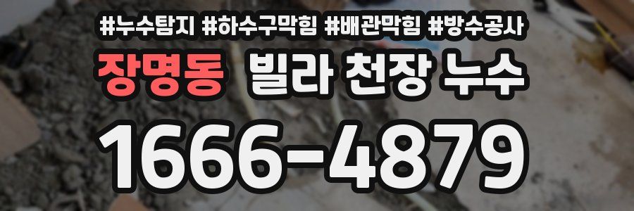 장명동 빌라 천장 누수