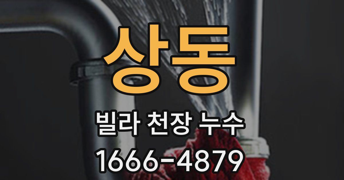 상동 빌라 천장 누수