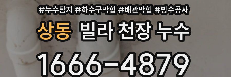상동 빌라 천장 누수