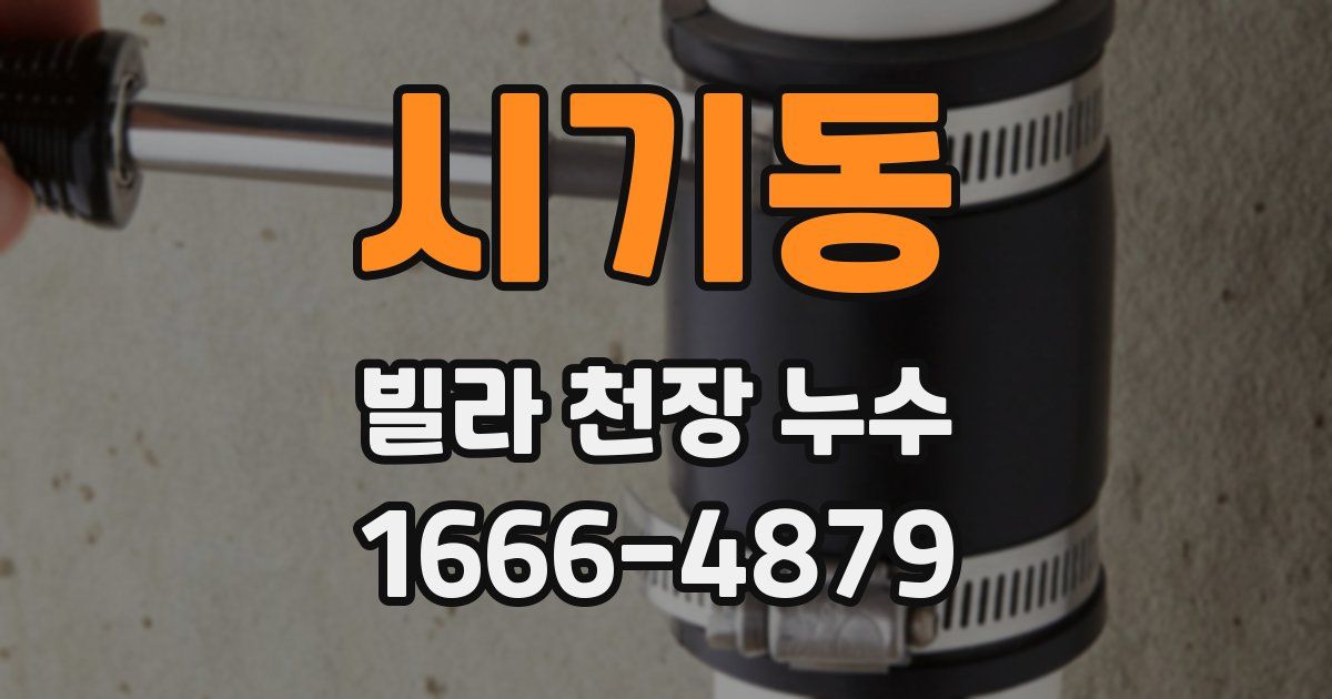 시기동 빌라 천장 누수