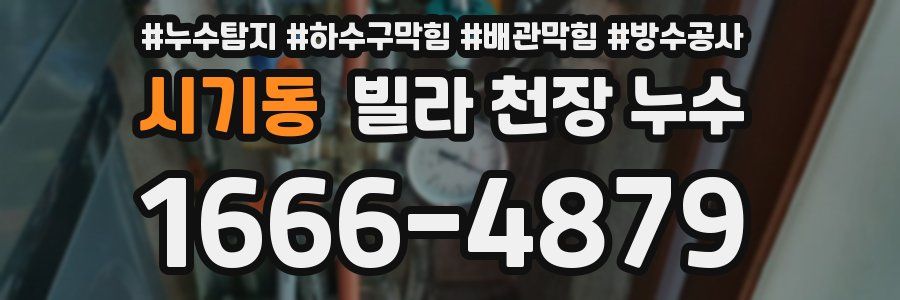 시기동 빌라 천장 누수