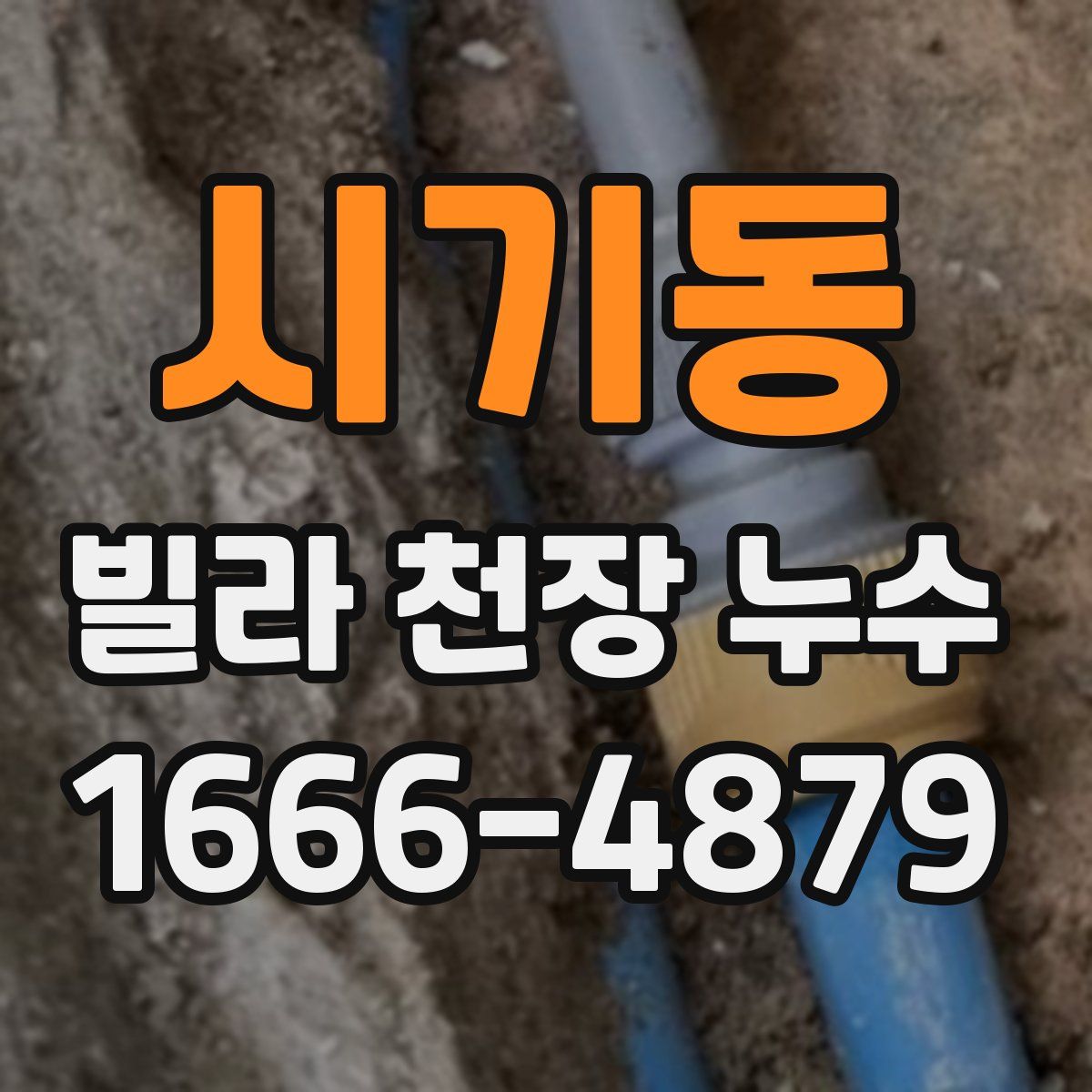 시기동 빌라 천장 누수