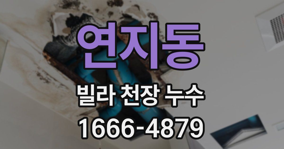 연지동 빌라 천장 누수