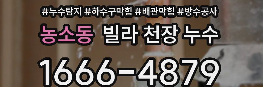 농소동 빌라 천장 누수