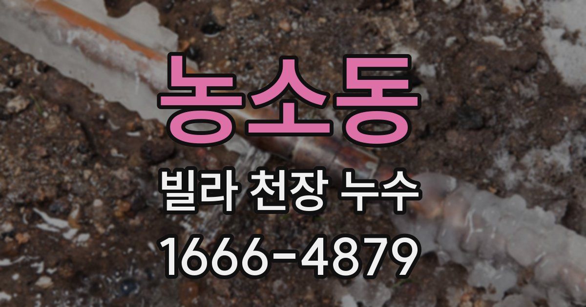 농소동 빌라 천장 누수