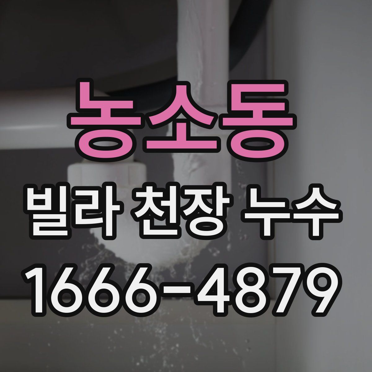 농소동 빌라 천장 누수