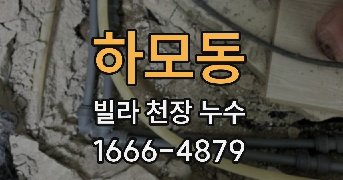 하모동 빌라 천장 누수