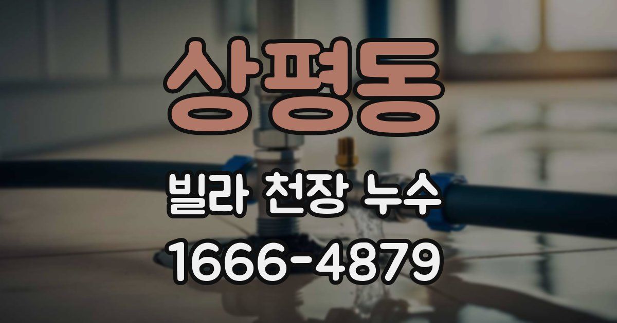 상평동 빌라 천장 누수
