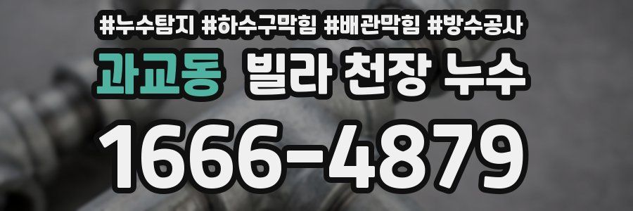 과교동 빌라 천장 누수