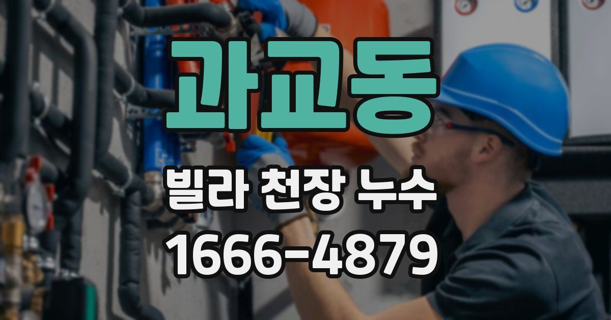 과교동 빌라 천장 누수
