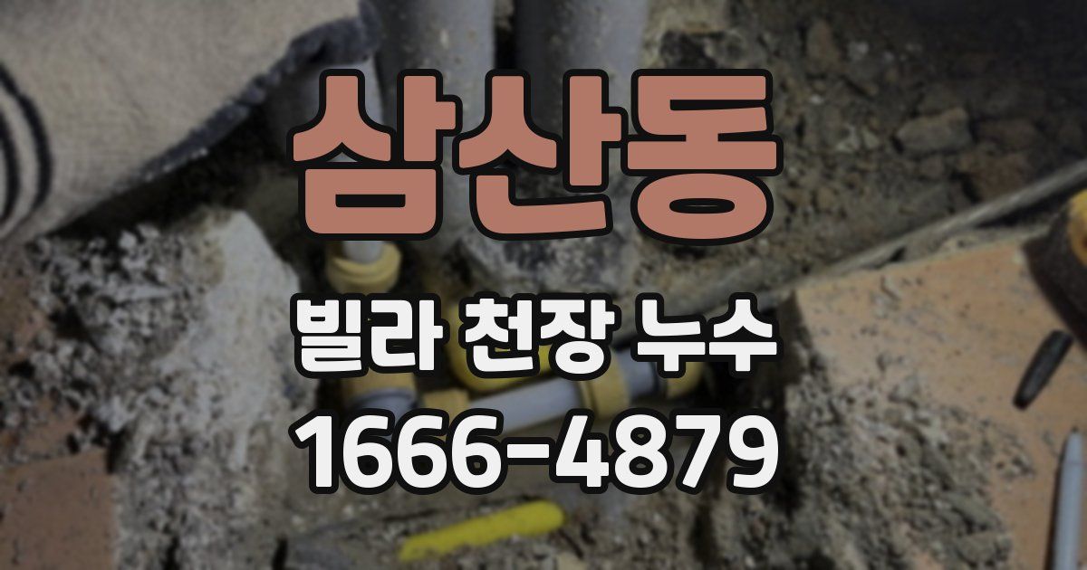 삼산동 빌라 천장 누수