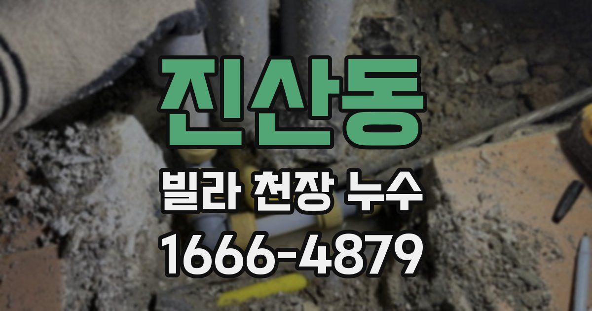 진산동 빌라 천장 누수