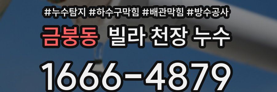 금붕동 빌라 천장 누수