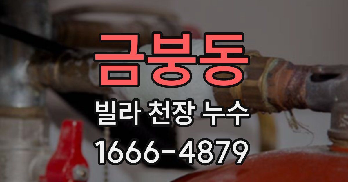 금붕동 빌라 천장 누수