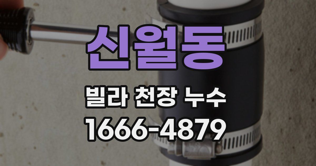 신월동 빌라 천장 누수