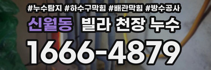 신월동 빌라 천장 누수