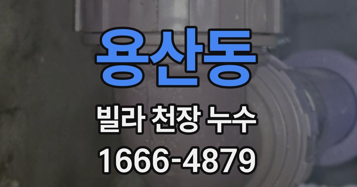 용산동 빌라 천장 누수