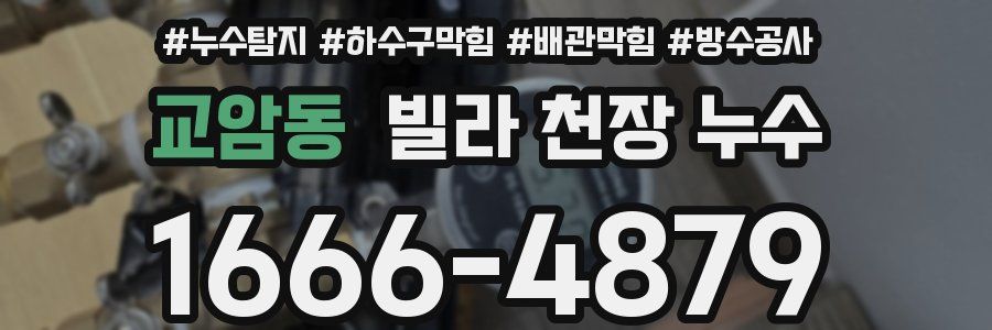 교암동 빌라 천장 누수