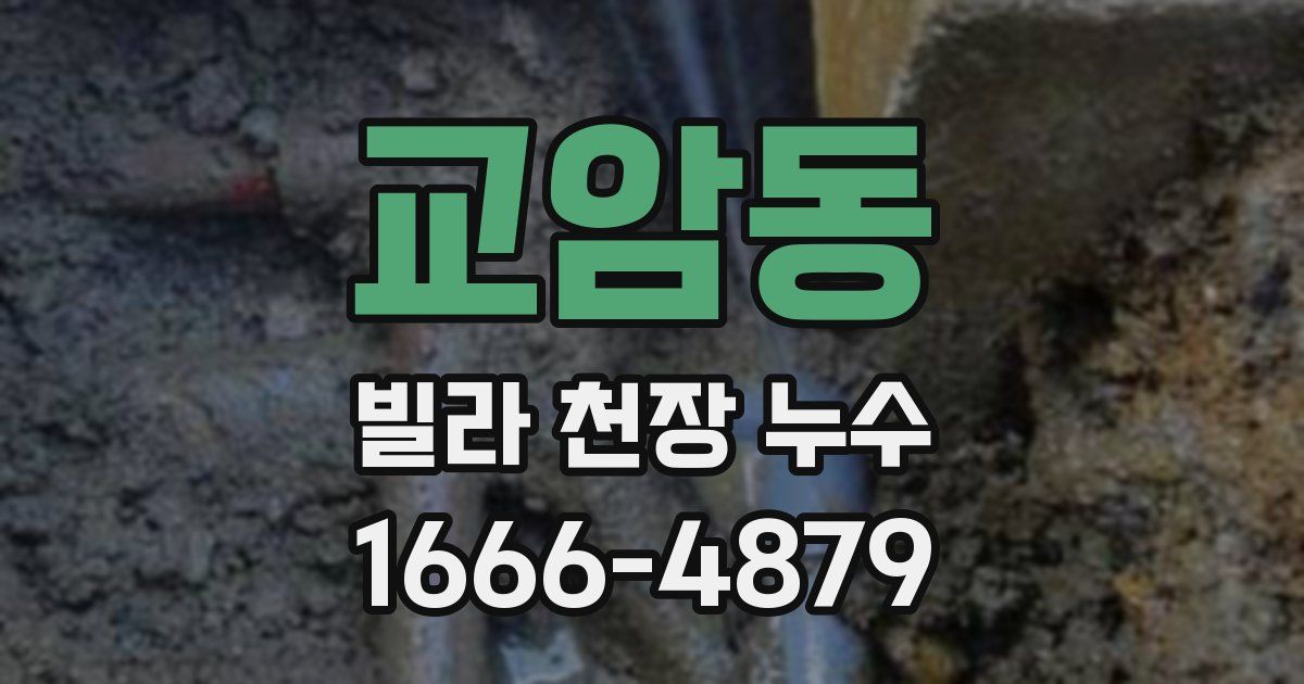 교암동 빌라 천장 누수