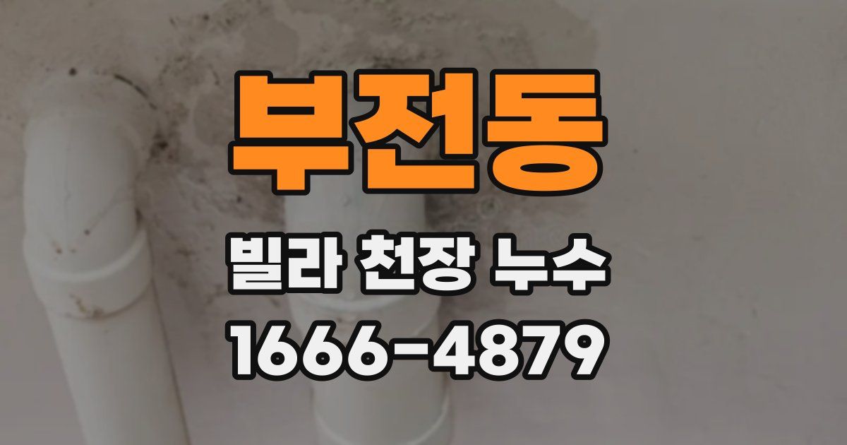 부전동 빌라 천장 누수