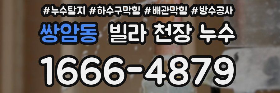 쌍암동 빌라 천장 누수