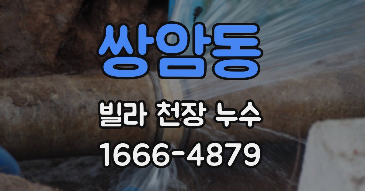 쌍암동 빌라 천장 누수