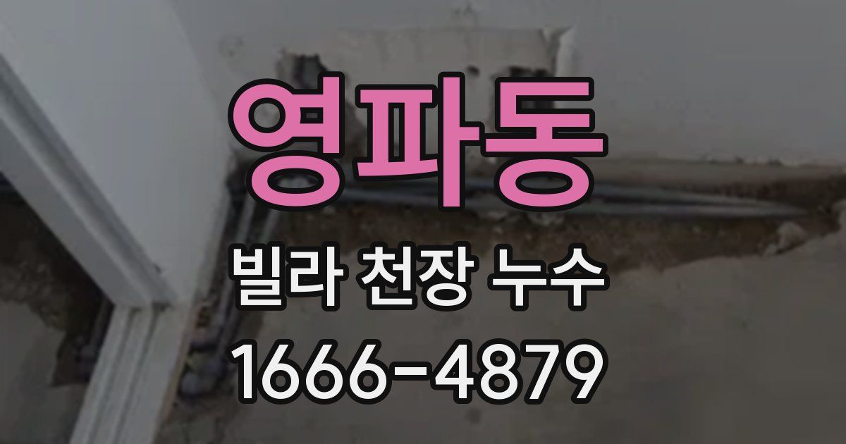 영파동 빌라 천장 누수